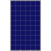 Solar Panels  -SolarMax (10W-300W)